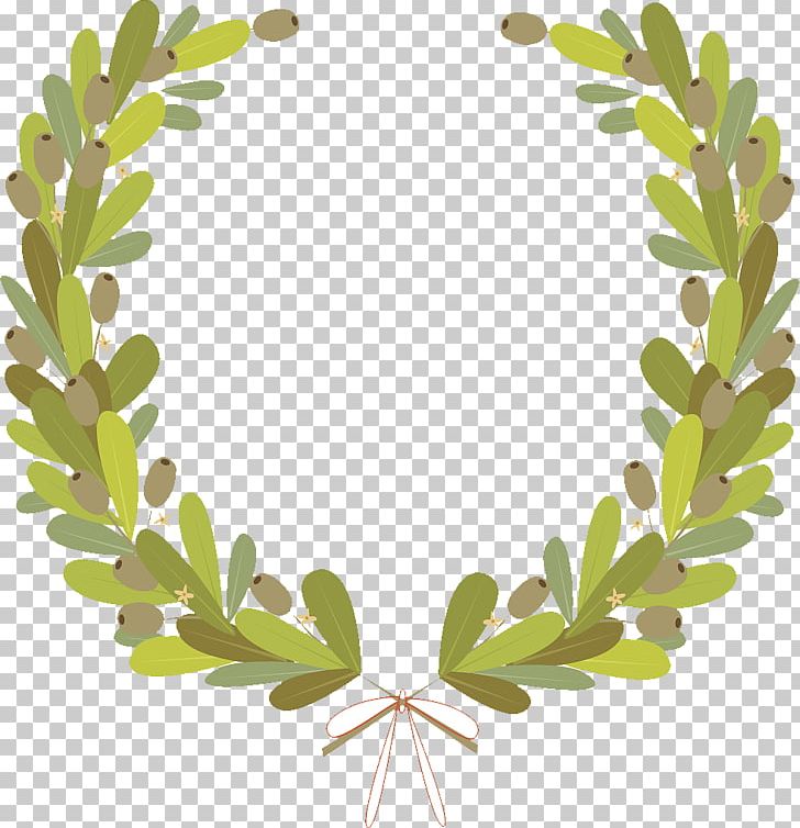 Leaf Olive PNG, Clipart, Autumn Leaf, Branch, Circle, Circle Around, Circles Free PNG Download