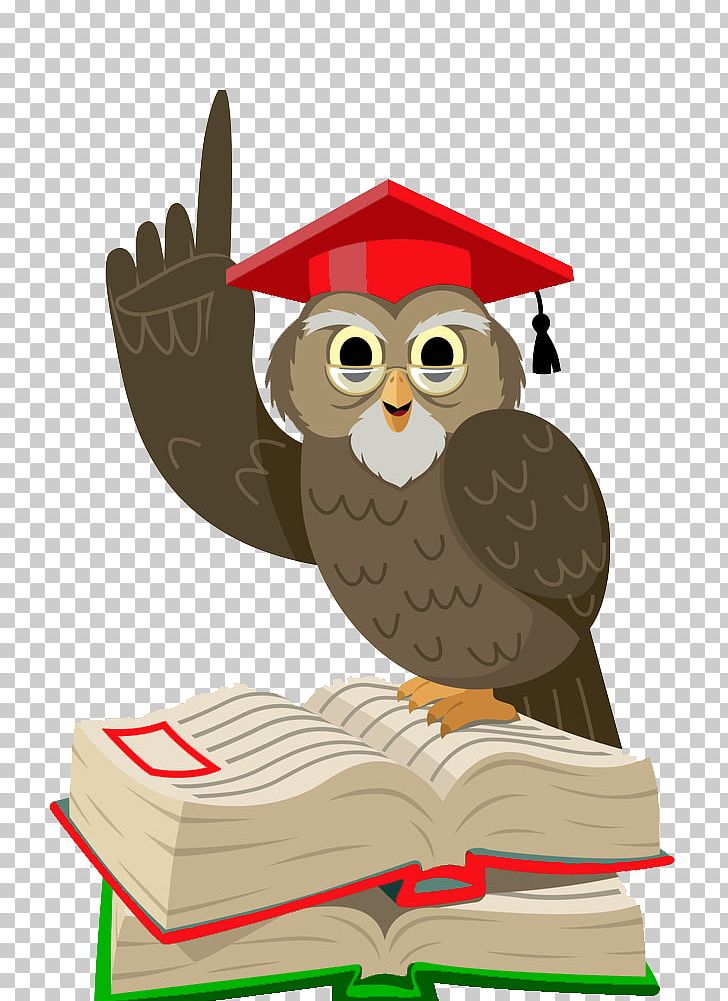 Owl Bird PNG, Clipart, Animals, Barn Owl, Barred Owl, Beak, Bird Free PNG Download