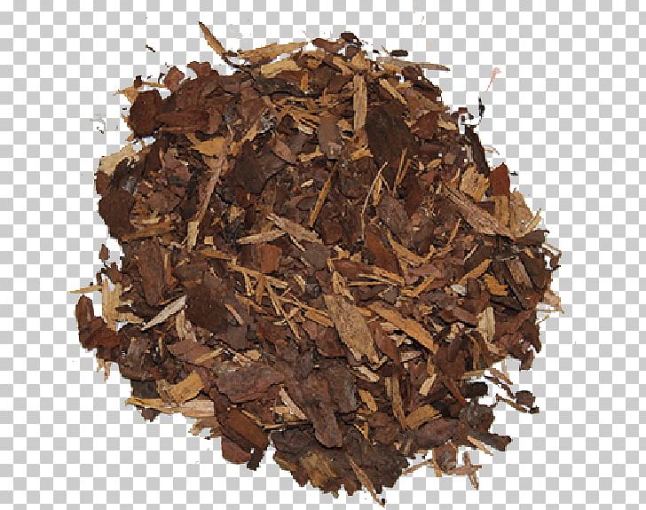 Caraway Darjeeling Tea Sugar Plum Nilgiri Tea Seed PNG, Clipart, Assam Tea, Bancha, Caraway, Carum, Ceylon Tea Free PNG Download