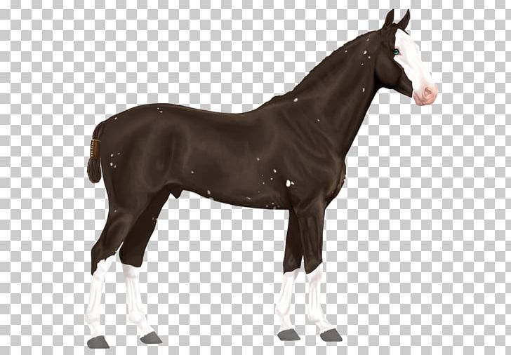 Clydesdale Horse Arabian Horse Thoroughbred Stallion Shire Horse PNG, Clipart, Animal Figure, Arabian Horse, Black, Breed, Breyer Animal Creations Free PNG Download