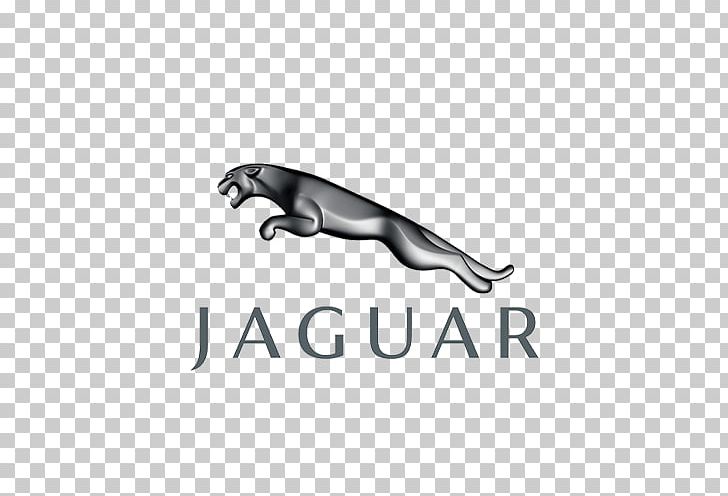 Jaguar Cars Jaguar Land Rover Tata Motors PNG, Clipart, Angle, Animals, Black, Black And White, Brand Free PNG Download
