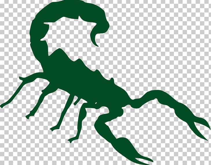 Scorpion Graphics Logo PNG, Clipart, Animal Figure, Arachnid, Arizona Bark Scorpion, Artwork, Green Free PNG Download