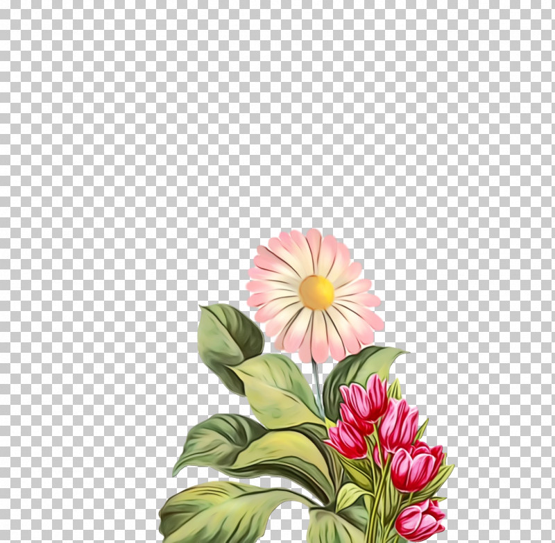 Floral Design PNG, Clipart, Annual Plant, Argyranthemum, Chrysanthemum, Cut Flowers, Dahlia Free PNG Download