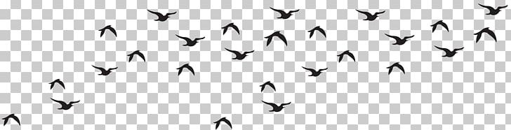 Bird Black And White Animal Migration Monochrome Photography PNG, Clipart, Animal Migration, Animals, Beak, Bird, Bird Migration Free PNG Download