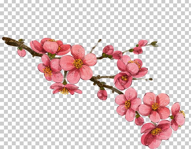 South Korea Drawing PNG, Clipart, Art, Blossom, Botanical Illustration, Branch, Cherry Blossom Free PNG Download