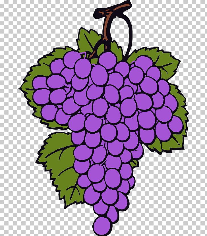 Wine Common Grape Vine Grappa Brandy PNG, Clipart, Art, Blog, Brandy, Circle, Common Grape Vine Free PNG Download