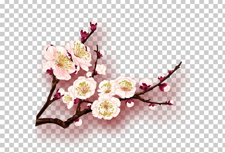 China Plum Blossom PNG, Clipart, Album, Artificial Flower, Branch, Cherry Blossom, China Free PNG Download