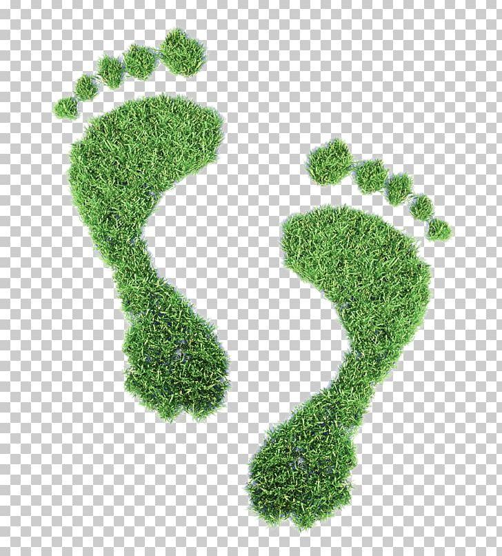 Ecological Footprint Ecology Carbon Footprint Concept Illustration PNG, Clipart, Creative Ads, Creative Artwork, Creative Background, Creative Graphics, Creative Logo Design Free PNG Download