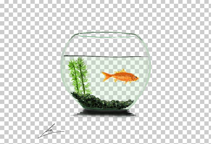 Goldfish Bowl Aquarium PNG, Clipart, Animal, Animals, Aquarium, Bowl, Common Water Fleas Free PNG Download