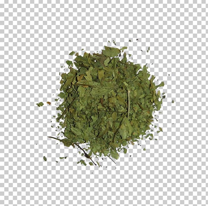 Herb Leaf PNG, Clipart, Angle, Computer Icons, Download, Encapsulated Postscript, Grass Free PNG Download