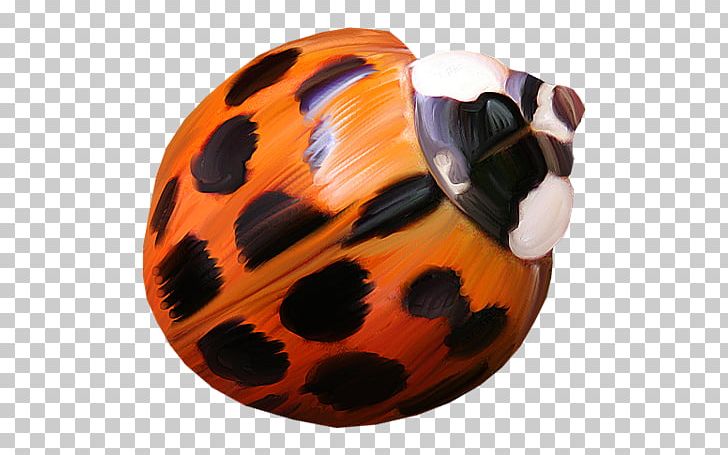Ladybird Coccinella Septempunctata PNG, Clipart, Animal, Carnivoran, Cartoon, Coccinella Septempunctata, Download Free PNG Download