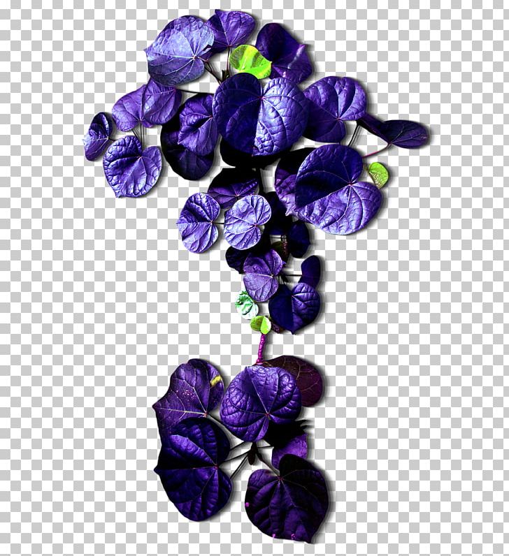Leaf Cut Flowers Purple PNG, Clipart, Artificial Flower, Color, Cut Flowers, Data, Data Compression Free PNG Download