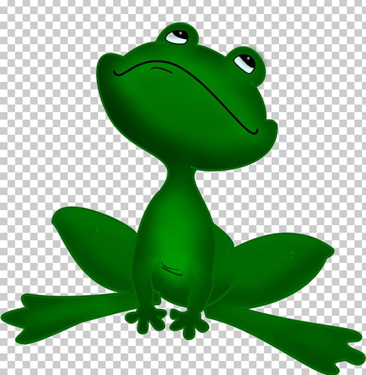 Tree Frog True Frog The Frog Prince PNG, Clipart, Amphibian, Animal, Australian Green Tree Frog, Drawing, Frog Free PNG Download