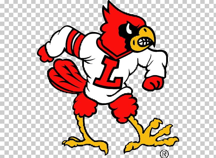 University Of Louisville Louisville Cardinals Men's Basketball ...