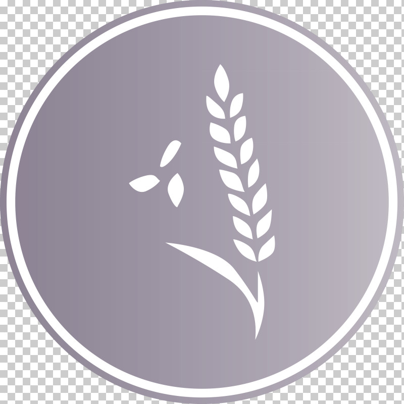 Oats Wheat Oats Logo PNG, Clipart, Feather, Logo, M, Meter, Oats Free PNG Download