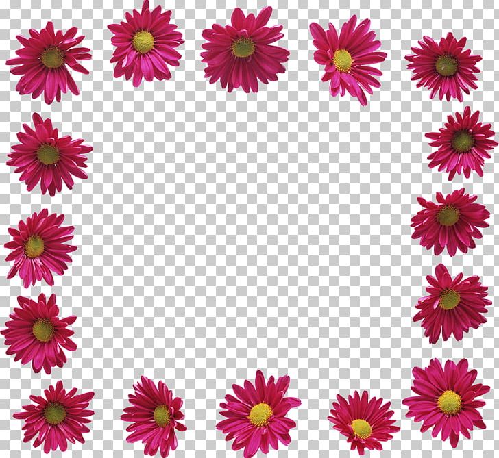 Flower Frames Garden Roses Photography PNG, Clipart, Chrysanthemum, Chrysanths, Clip Art, Color, Cut Flowers Free PNG Download