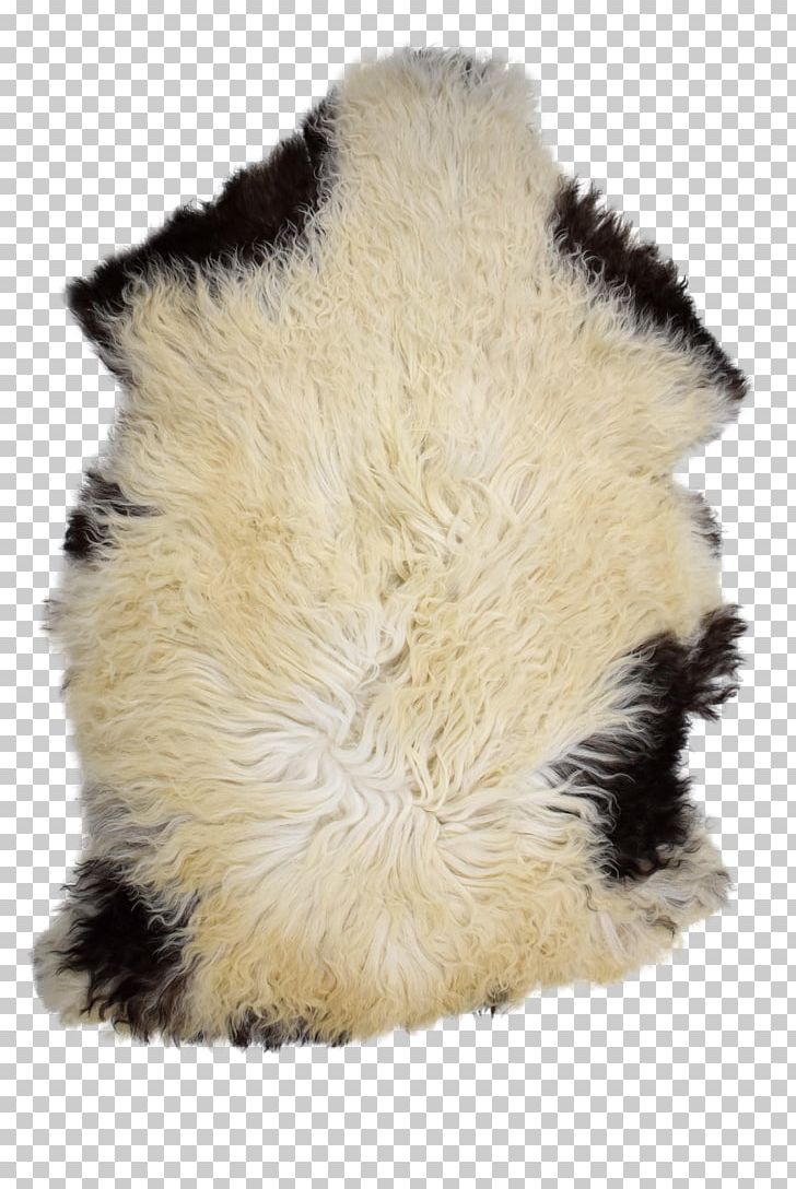 Fur Snout PNG, Clipart, 8 X, Beige, Fur, Fur Clothing, Others Free PNG Download