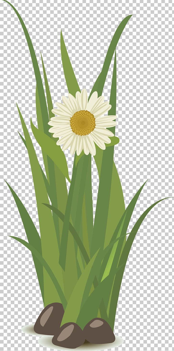 Yellow Floral Design PNG, Clipart, Background Green, Botany, Commodity, Euclidean Vector, Flora Free PNG Download