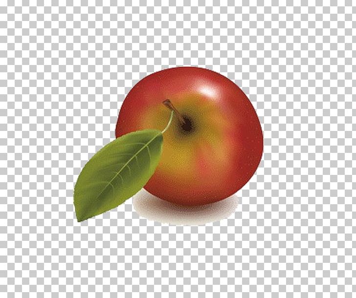 Fruit Free Content PNG, Clipart, Apple Fruit, Apple Logo, Apple Tree, Computer Wallpaper, Encapsulated Postscript Free PNG Download