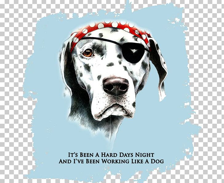 Dalmatian Dog T-shirt Dog Breed Non-sporting Group Clothing PNG, Clipart, Carnivoran, Clothing, Dalmatian, Dalmatian Dog, Dog Free PNG Download