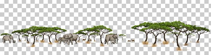 Elephant Self-assured Self-Controlled Africa Harmony PNG, Clipart, Africa, Alpha, Animals, Branch, Elephant Free PNG Download