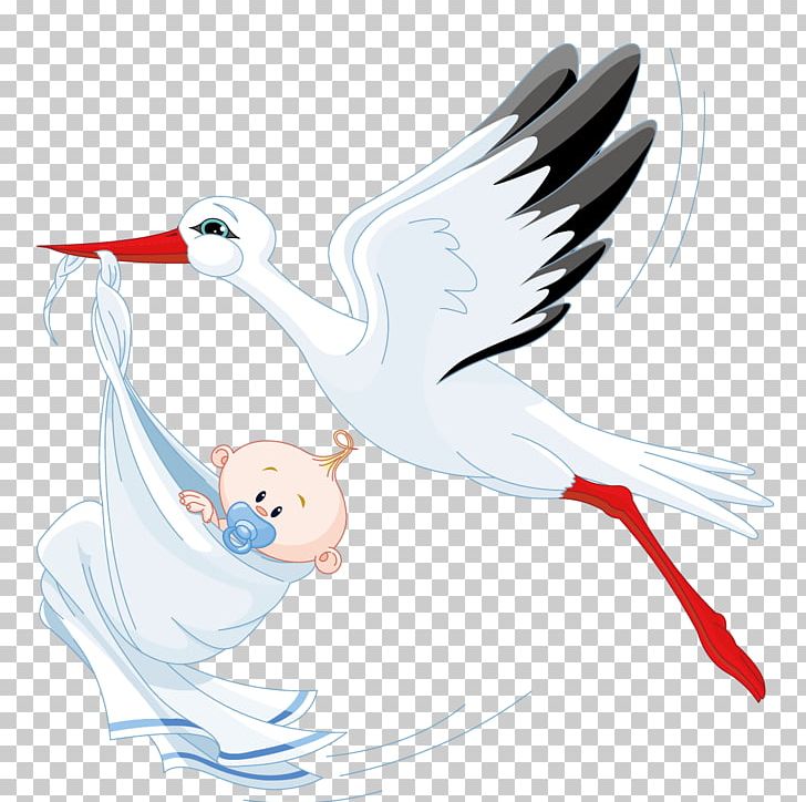 Infant Stork Boy PNG, Clipart, Adult Child, Art, Baby, Beak, Bird Free PNG Download