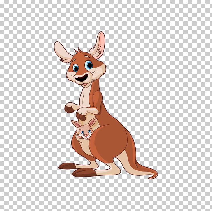 Kangaroo PNG, Clipart, Animal Figure, Animals, Animation, Animaux, Can Stock Photo Free PNG Download