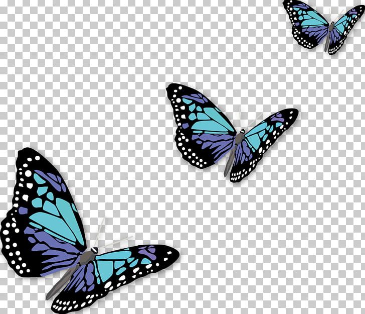 Monarch Butterfly PNG, Clipart, Brush Footed Butterfly, Butterflies And Moths, Butterfly, Cdr, Download Free PNG Download