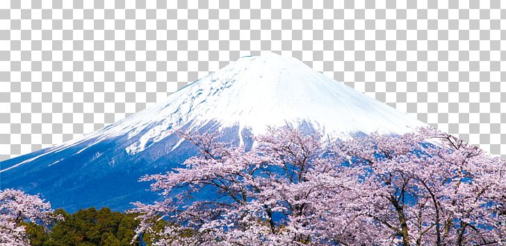 Mount Fuji Xueshan Stock Photography PNG, Clipart, Blossoms, Cherry, Cherry Blossoms, Computer Wallpaper, Culture Free PNG Download