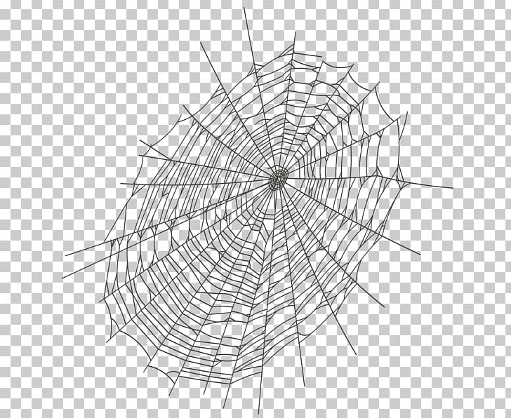 Spider Web PNG, Clipart, Angle, Black And White, Black House Spider, Circle, Color Free PNG Download