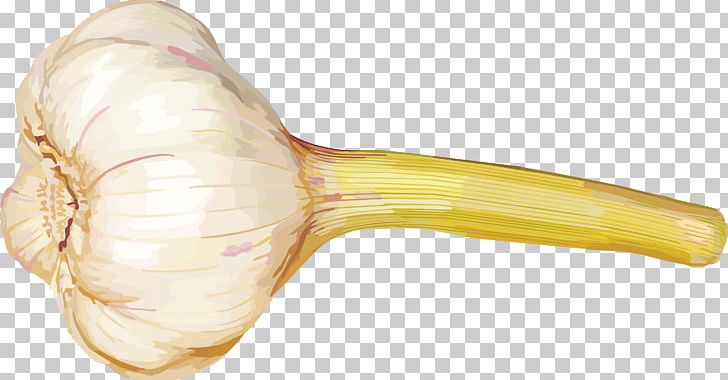 Vegetable Garlic PNG, Clipart, Barber Pole, Cartoon Garlic, Chili Garlic, Digital Image, Download Free PNG Download