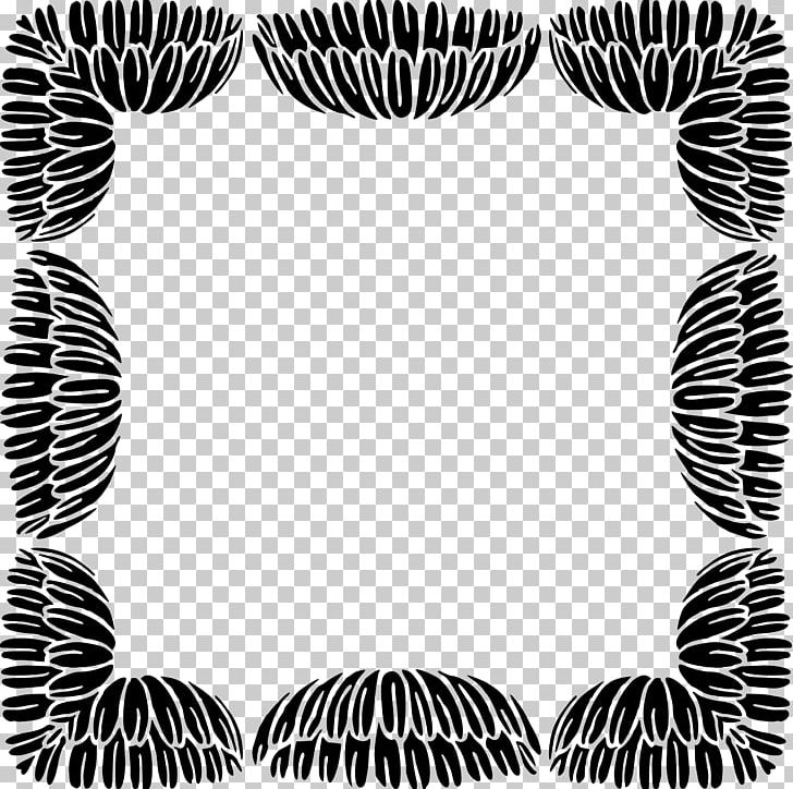 Zebra PNG, Clipart, Black, Black And White, Black M, Decorative, Floral Frame Free PNG Download