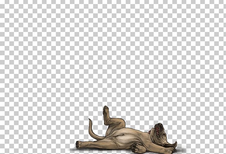 Dog Lion Macropodidae Mammal Agility PNG, Clipart, Agility, Animals, Canidae, Carnivoran, Cat Free PNG Download