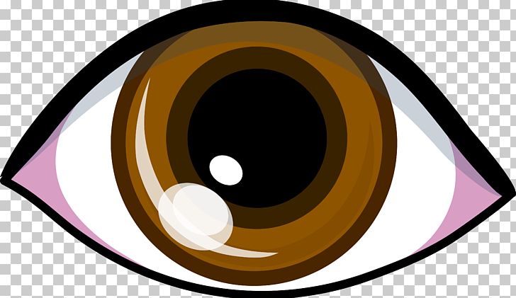 Eye Brown PNG, Clipart, Blue, Brand, Brown, Brown Cliparts, Cartoon Free PNG Download