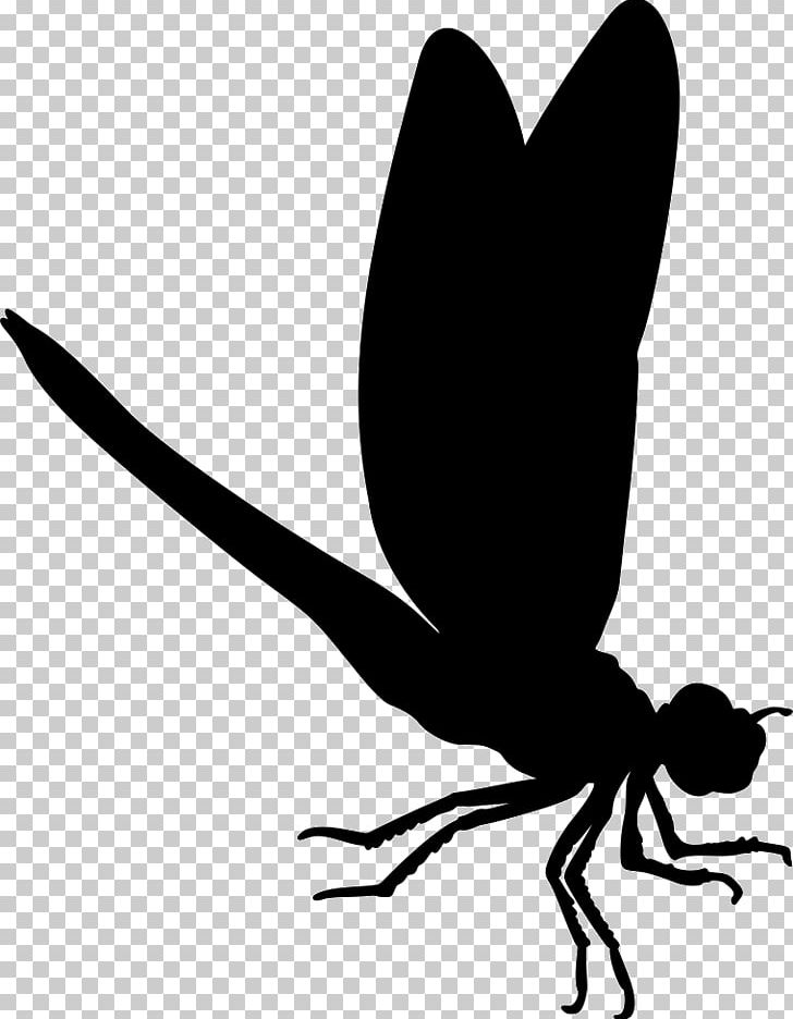 Insect Dragonfly Silhouette Graphics PNG, Clipart, Animal, Animals, Black And White, Butterfly, Computer Icons Free PNG Download