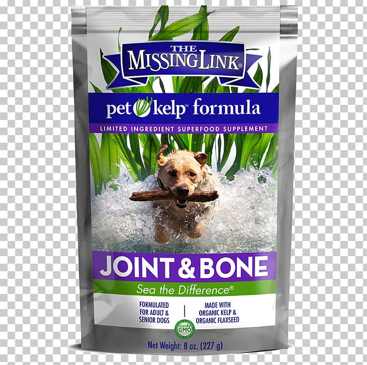Kelp Dietary Supplement Dog Cat Bone PNG, Clipart, Bone, Canidae, Cat, Dietary Supplement, Dog Free PNG Download