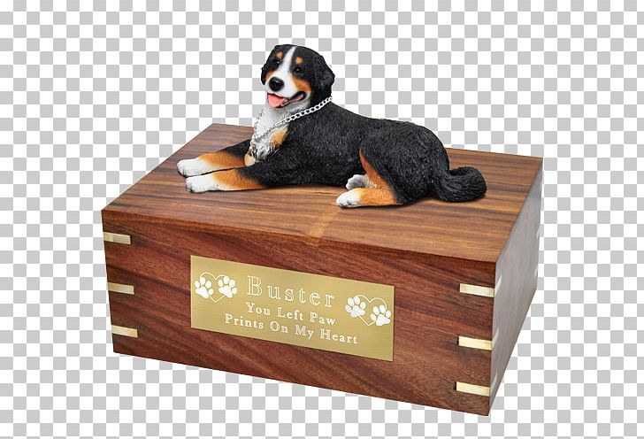 Dog Breed Bernese Mountain Dog Pet PNG, Clipart, Afterlife, Animal, Bernese, Bernese Mountain Dog, Bone Free PNG Download