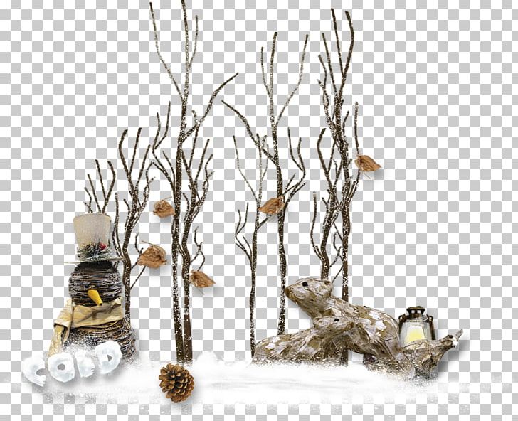 Hard Rime Branch Tree Snow Abies Alba PNG, Clipart, Abies Alba, Autumn, Branch, Christmas, Christmas Tree Free PNG Download
