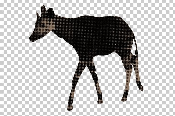 Musk Deers Okapi Antelope Wildlife PNG, Clipart, Animal, Animals, Antelope, Book, Comic Free PNG Download