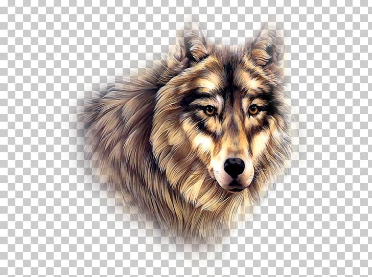 Native Americans In The United States Indian Wolf Cherokee Native American Jewelry PNG, Clipart, Carnivoran, Collie, Dog Breed, Dog Breed Group, Dog Like Mammal Free PNG Download