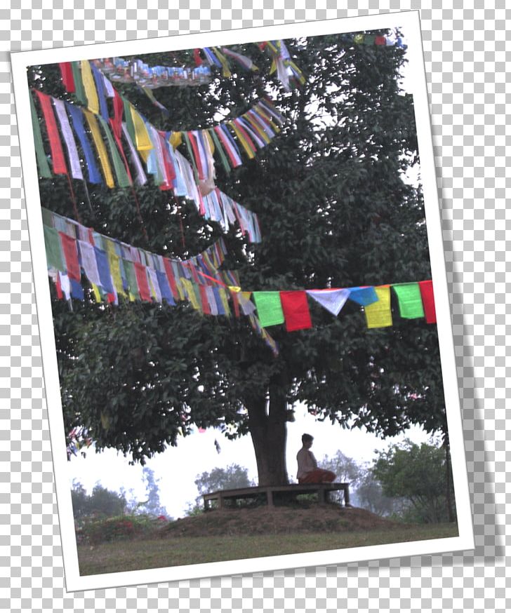 Poster Tree Flag PNG, Clipart, Advertising, Flag, Meditative, Nature, Poster Free PNG Download