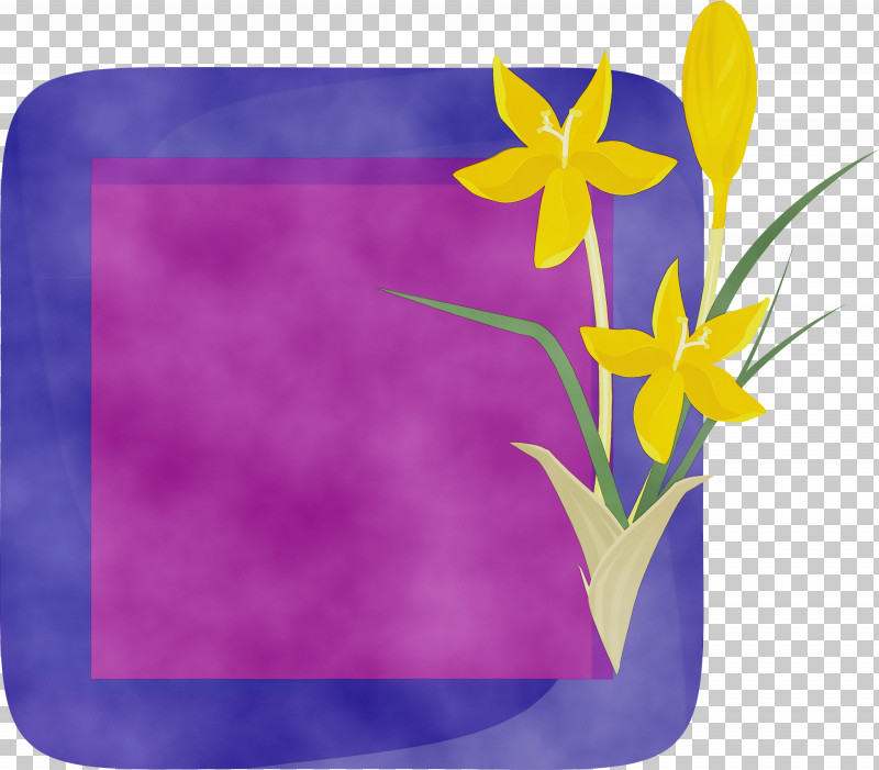 Lavender PNG, Clipart, Biology, Flower, Flower Frame, Flower Photo Frame, Lavender Free PNG Download
