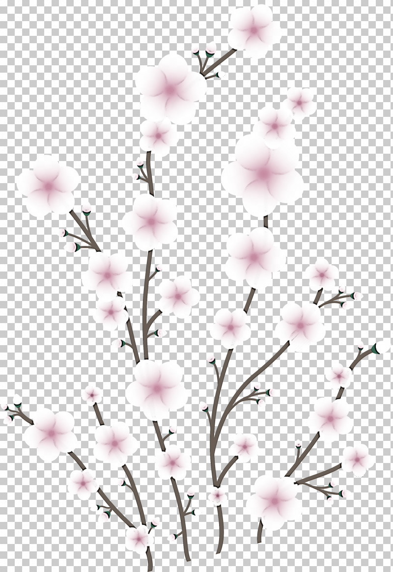 Flowers Floral PNG, Clipart, Blossom, Branch, Cherry Blossom, Floral, Flower Free PNG Download