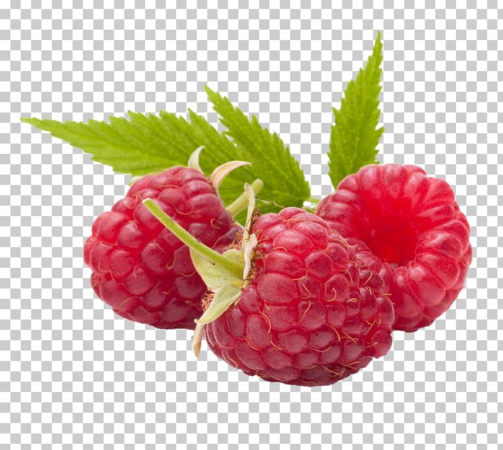 Ice Cream Gelato Raspberry Food PNG, Clipart, Berry, Blackberry, Boysenberry, Dairy Products, Dessert Free PNG Download