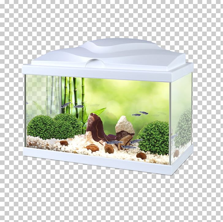 Light-emitting Diode Siamese Fighting Fish Aquariums PNG, Clipart, Aqua, Aquarium, Aquariums, Bianco, Blanc Free PNG Download