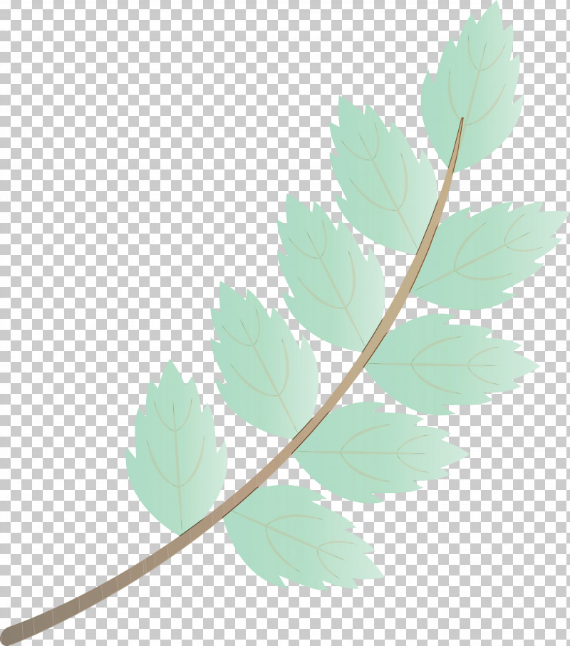 Twig Leaf Plant Stem Autumn PNG, Clipart, Autumn, Autumn Leaf, Black And White, Fall Leaf, Flower Free PNG Download