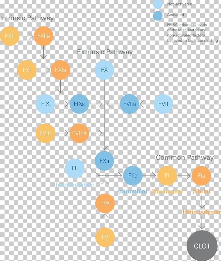 Coagulation Haemophilia A Factor VIII Thrombin PNG, Clipart, Baxalta, Brand, Coagulation, Diagram, Drug Free PNG Download