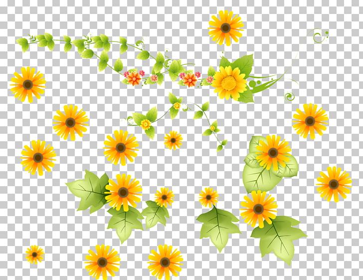 Common Sunflower PNG, Clipart, Annual Plant, Dahlia, Daisy Family, Digital, Encapsulated Postscript Free PNG Download
