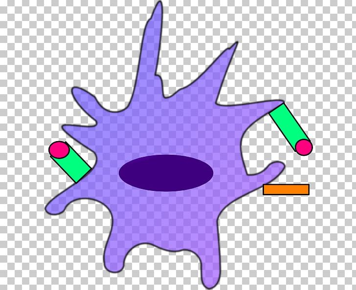 Dendritic Cell Dendrite Drawing Immune System PNG, Clipart, Area, Artwork, Cartoon, Cell, Cell Migration Free PNG Download