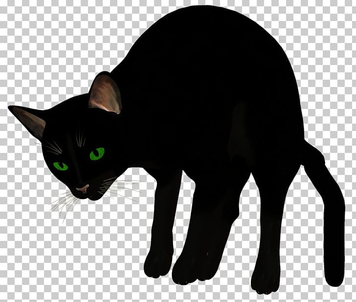 Havana Brown Korat Burmese Cat Manx Cat Whiskers PNG, Clipart, Black, Black Cat, Black M, Bombay, Burmese Free PNG Download